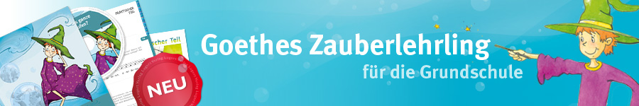 Banner Zauberlehrling